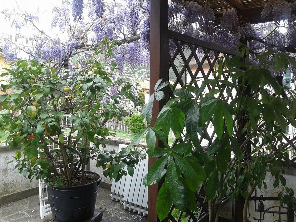 ריקו דל גולפו די ספאציה Il Ghiro B&B מראה חיצוני תמונה