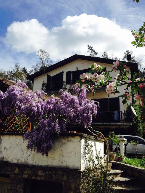 ריקו דל גולפו די ספאציה Il Ghiro B&B מראה חיצוני תמונה