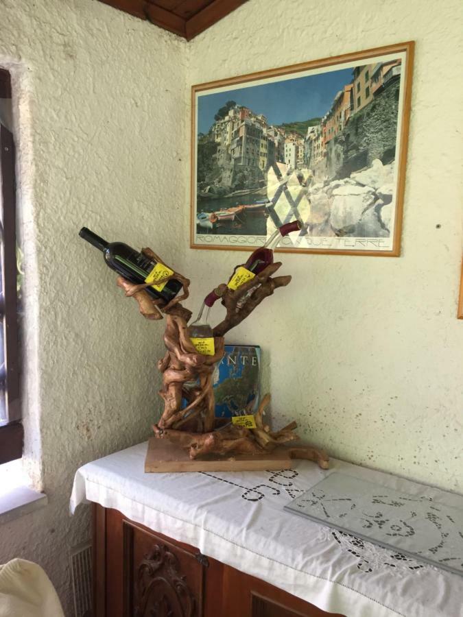 ריקו דל גולפו די ספאציה Il Ghiro B&B מראה חיצוני תמונה
